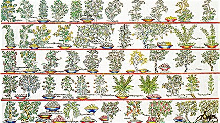 藏藥材資源分布、發(fā)展史